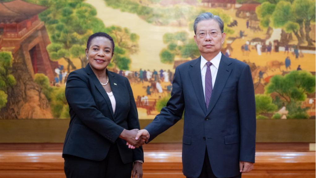 China’s top legislator holds talks with speaker of Zambia’s National Assembly