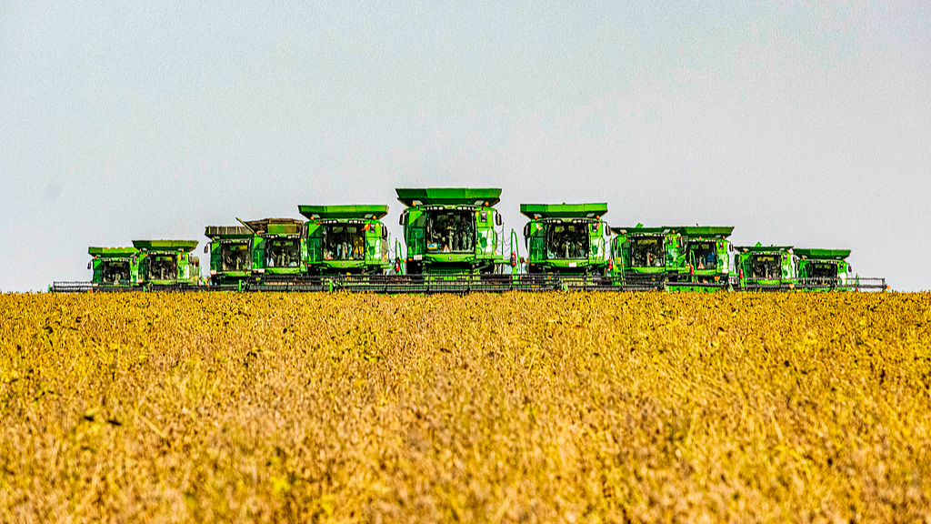 China Moves to Fortify Food Security Across Entire Grain Supply Chain (2026-2030)